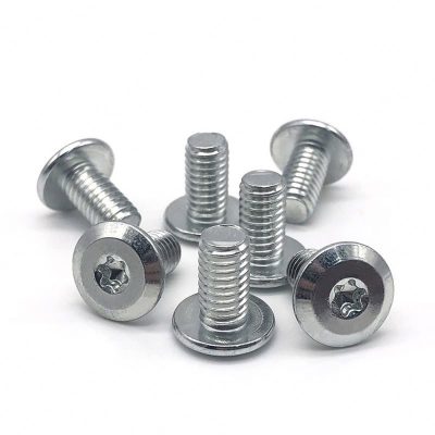 1 stainless steel torx screws