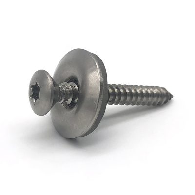 Pan head torx screws Pan head torx screws