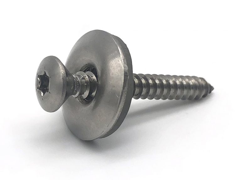 Pan head torx screws