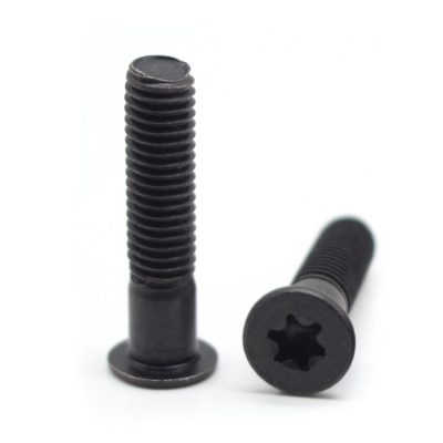 Black torx screws Black torx screws