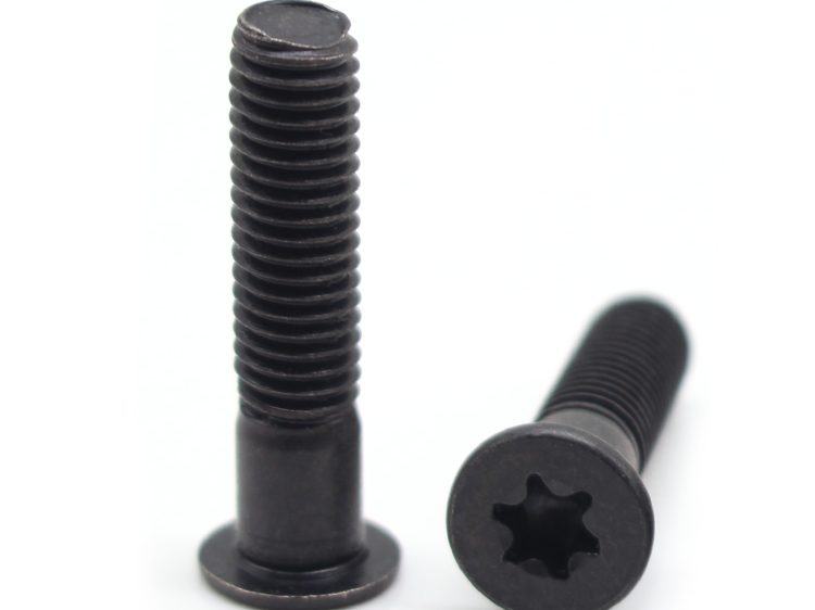 Black torx screws