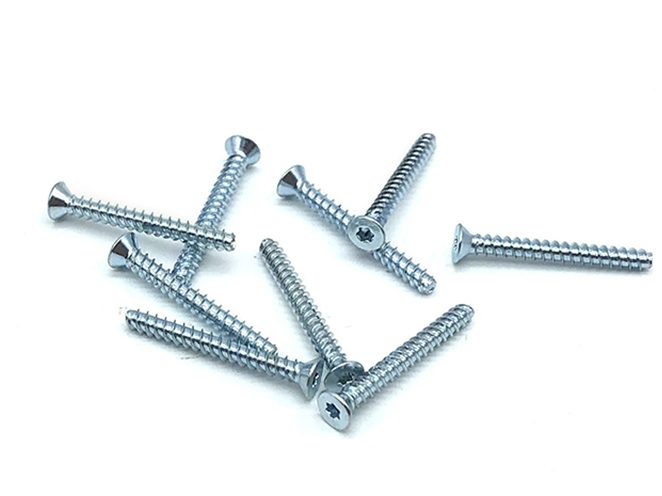 Galvanized torx screws