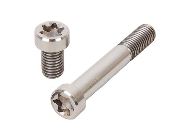 titanium torx screws